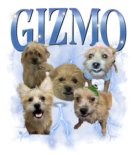 gizmo.png