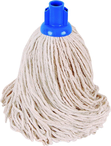 blue mop 1.jpg