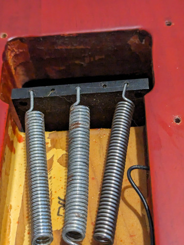 PXL 20231123 040945686.MP.jpg