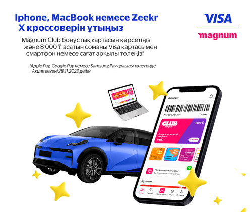 VISA Magnum 760x640 kz.jpg
