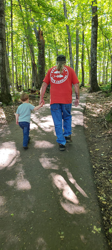 PS Edit Walking.png