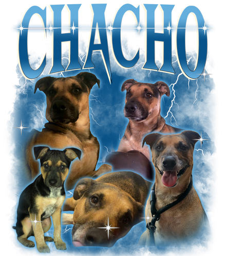 Chacho.png