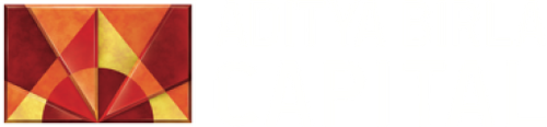 aditya birla.png