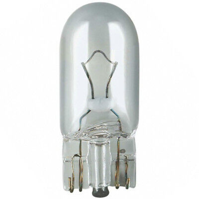 5 Watt bulb 2.jpg