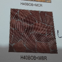 b19548f84166.png