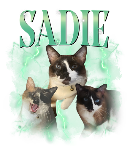 sadie.png