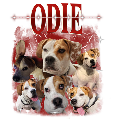 odie.png