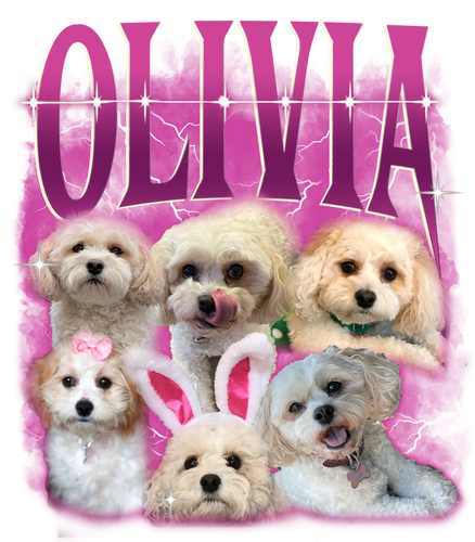 Olivia (pink).png