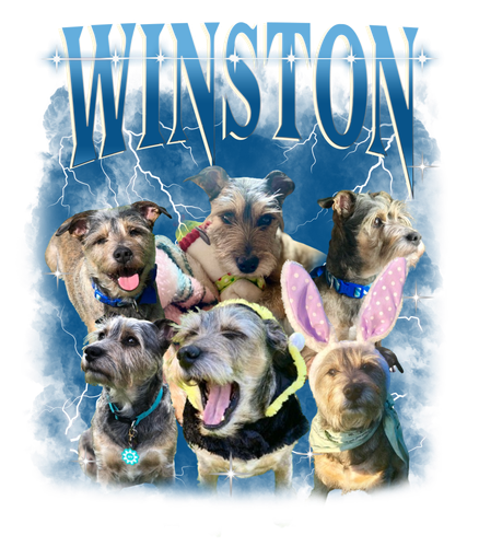 Winston.png