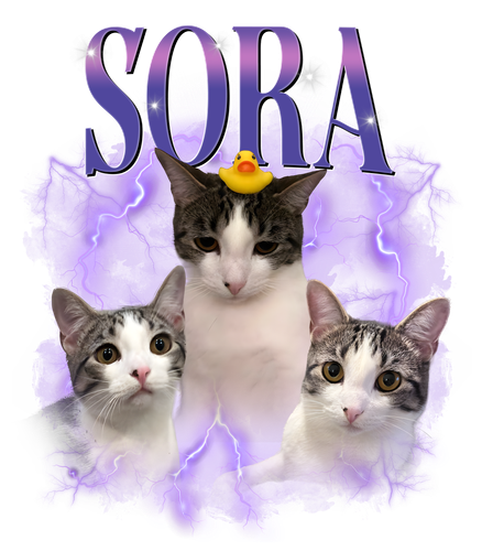 sora.png
