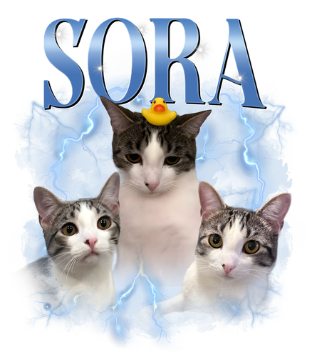 sora.png