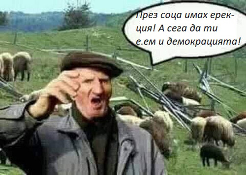 ерекция.jpg