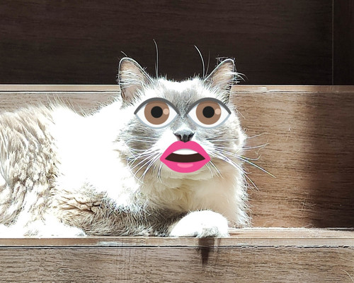 IMG 20221115 114628.jpg