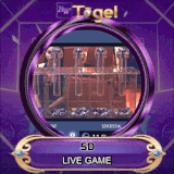 5d.gif