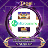 microgaming.gif