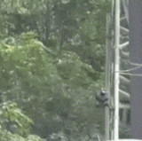 200.gif
