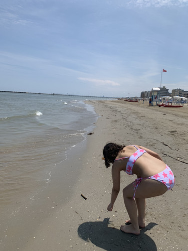 IMG 4705.jpg