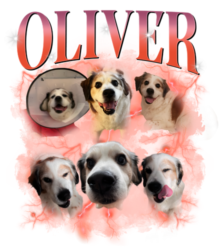 oliver.png