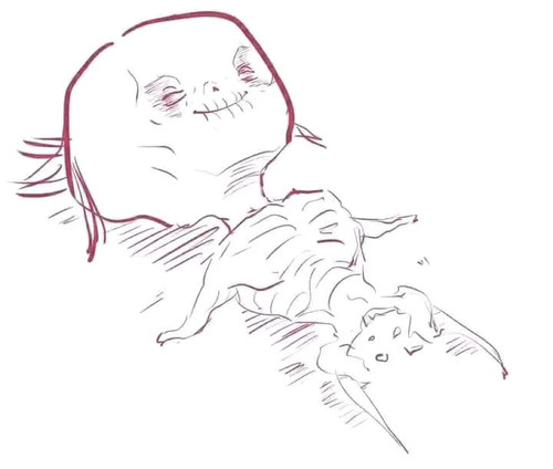 image.jpg