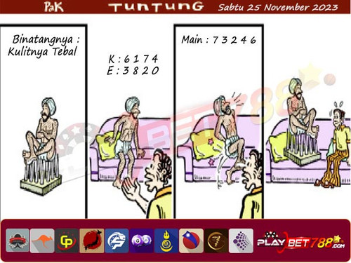 25 plb.jpg