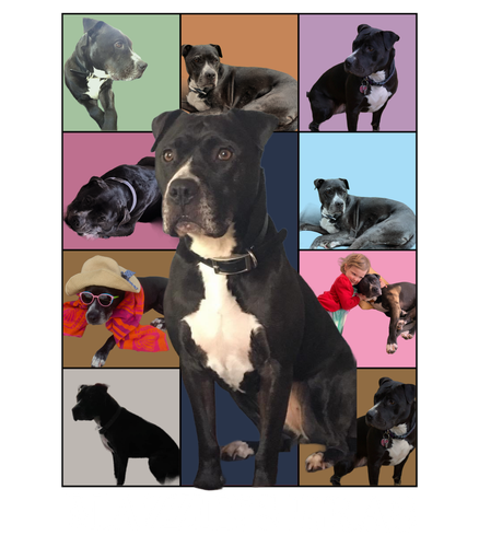 Mazzie.png