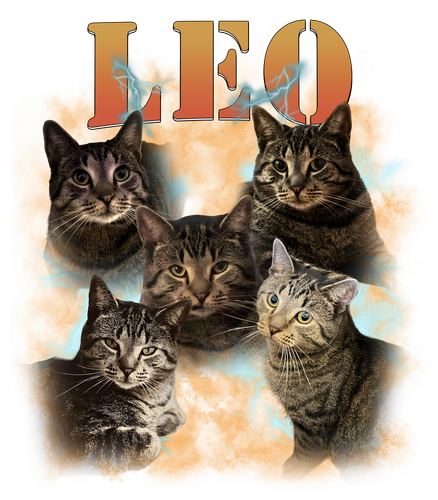 leo.png