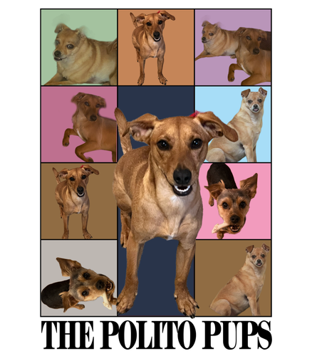 polito.png