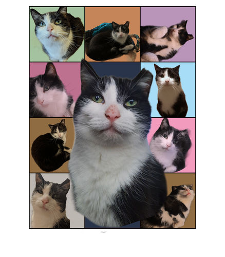 malcom.png