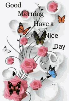 GKtiGBRqkhVJAPuHOJCfPqagCeK.webp