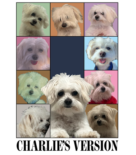 3094107435 black.png