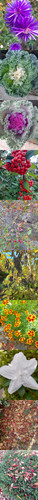 94BB4600 EEAF 4610 90AA B16DA6AC9973.jpg