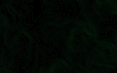 Topo Wallpaper.jpg