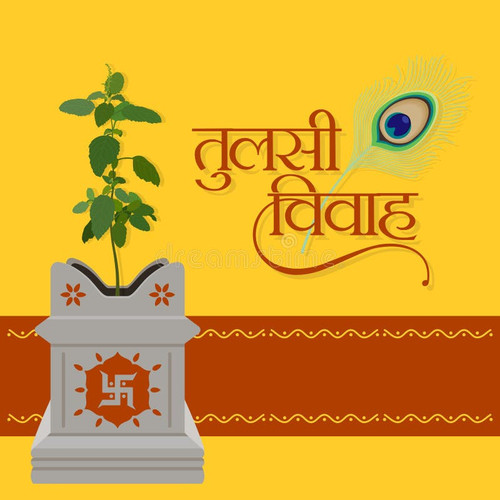 beautiful hindi typography tulsi vivah means basil plant wedding hindu festival editable illustratio.jpg