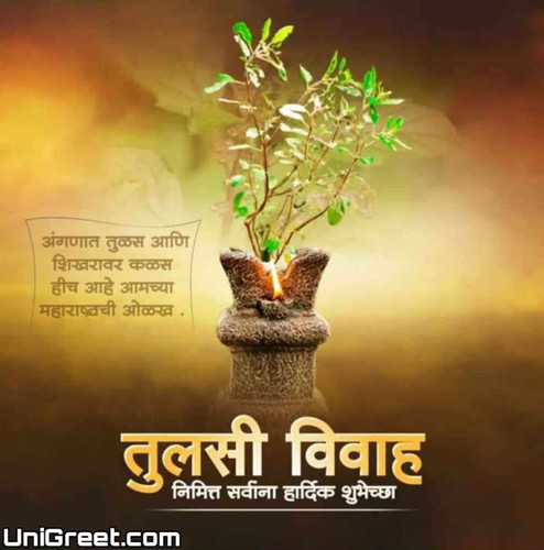 Tulsi vivah pic 1011x1024.jpg