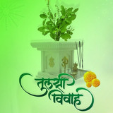 tulsi vivah 5