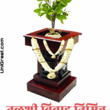 tulasi pooja wishes in marathi 674x1024