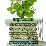 Tulshi vivah 749x1024