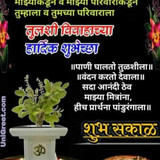 तुळशी विवाह 782x1024