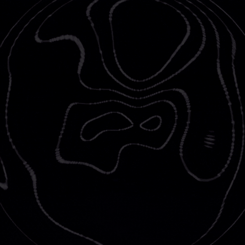 IMG 1388.gif