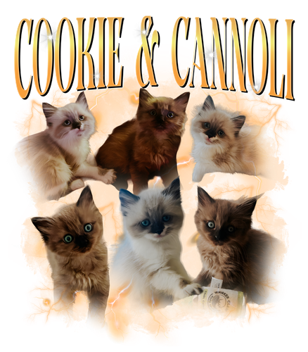 cookie & cannoili.png