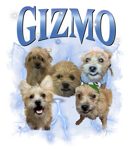 gizmo.png