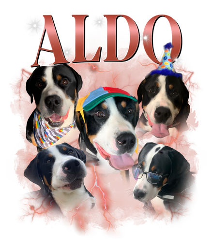 aldo.png