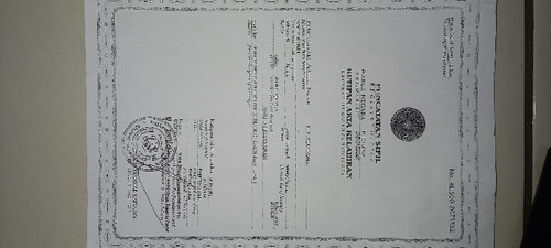 scaled 3a6aa52f 2478 409e 90ce 588702a7d5cd621013683194844933.jpg