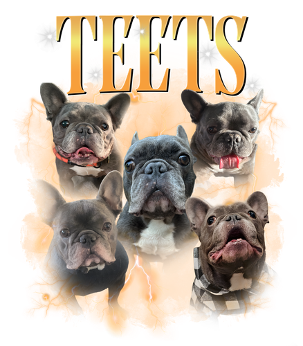 teets.png