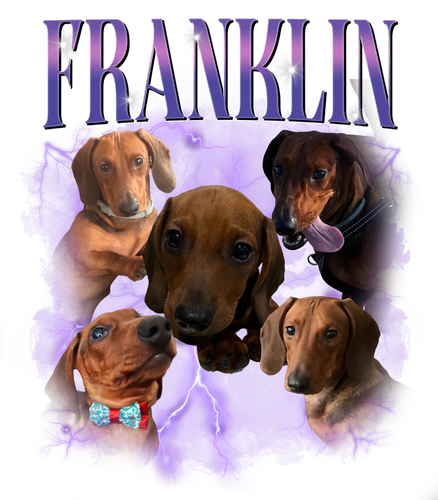 franklin.png
