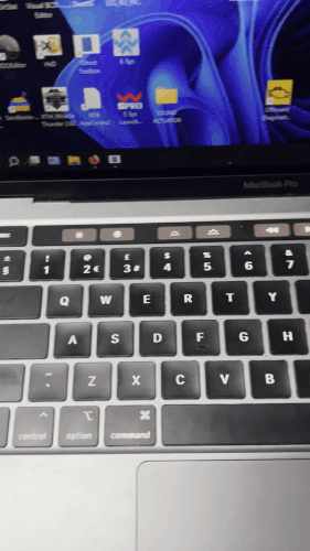 IMG 1663.gif