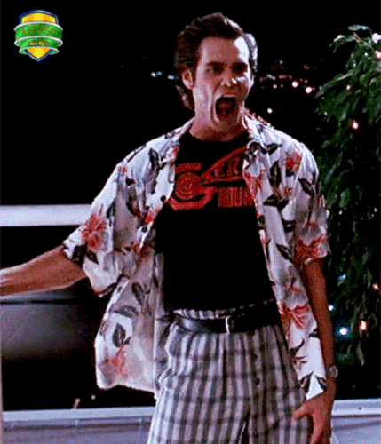 10.gif