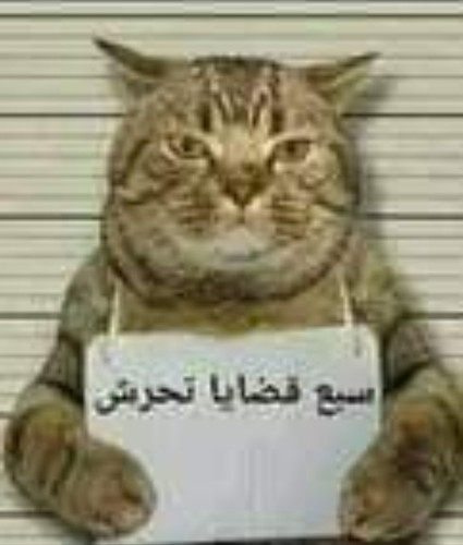 IMG ٢٠٢٣١١٢٣ ٢٣١١٠٩.jpg