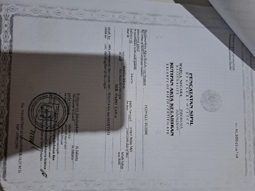 scaled 3a4279ad dde8 45b4 8856 11ae73c11752197309351336883174.jpg