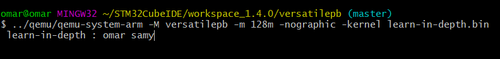 final qemu results.png
